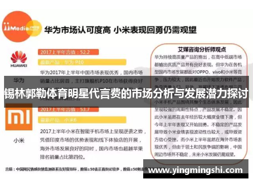 锡林郭勒体育明星代言费的市场分析与发展潜力探讨